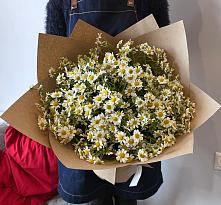 Букет цветов из:  Ромашки #REPLACE_PRED# Ямской